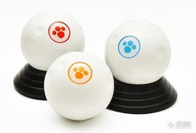 别担心汪星人孤独寂寞，这小球陪它玩到你回家