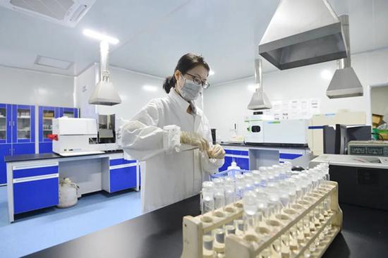 福州新区7家企业入选重点上市后备名单，小球科技崭露头角